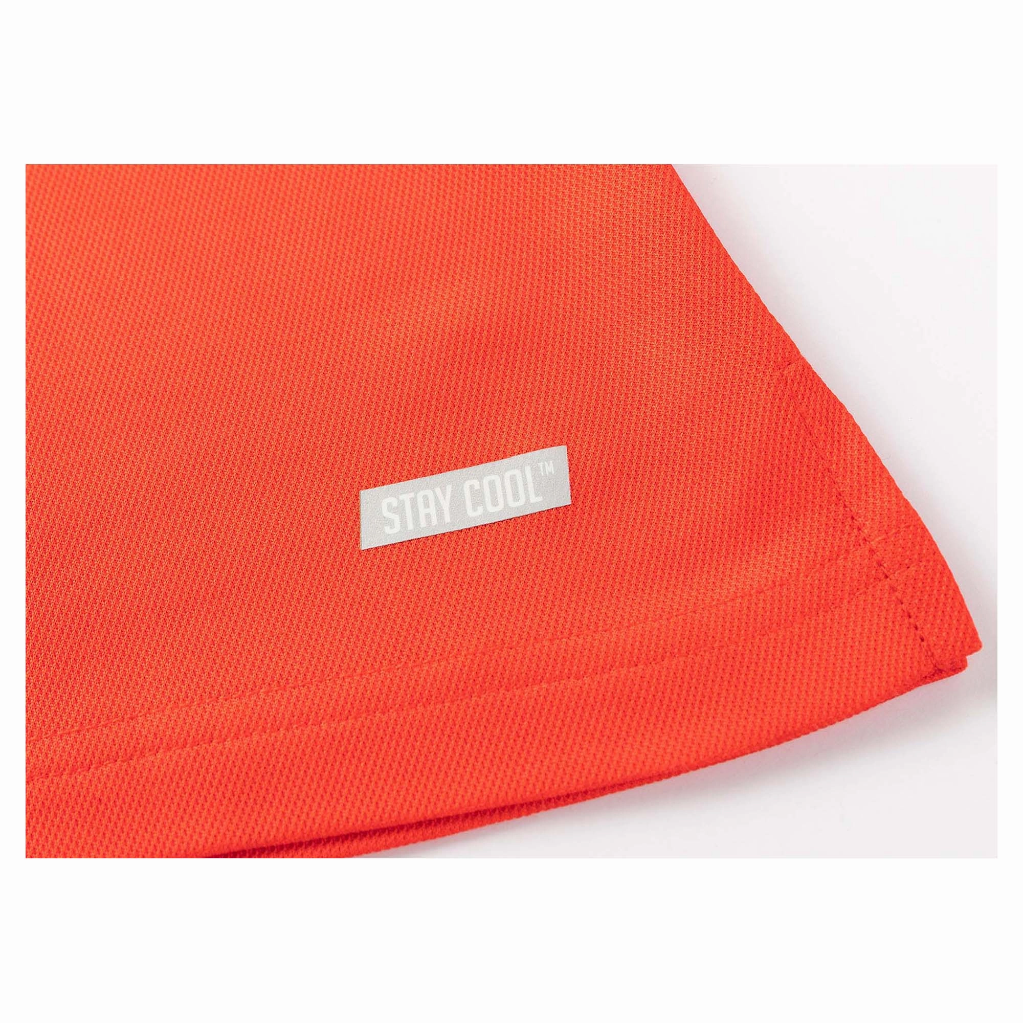 Women's NRL Redcliffe Dolphins 2025 Media Polo Casual